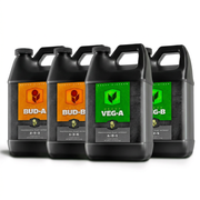 Kit Heavy 16 Base Quart/1L - foto del pack 1