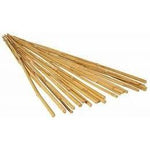GROW!T Estacas de Bambú de 4', Natural (25 u/paquete)
