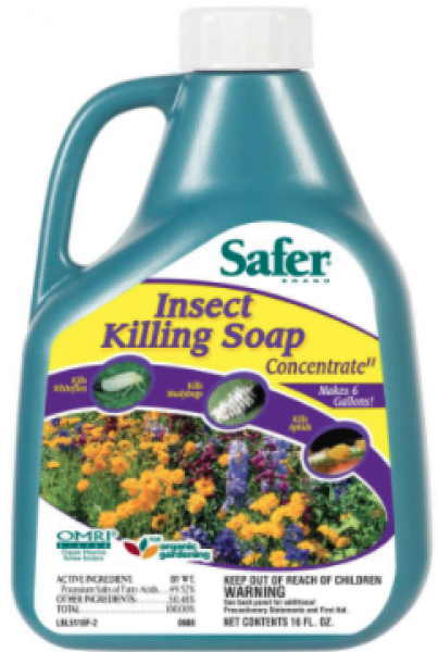 Safer Insect Killing Soap Concentrate, 16 oz - Pachamama Indoor Farming Culture