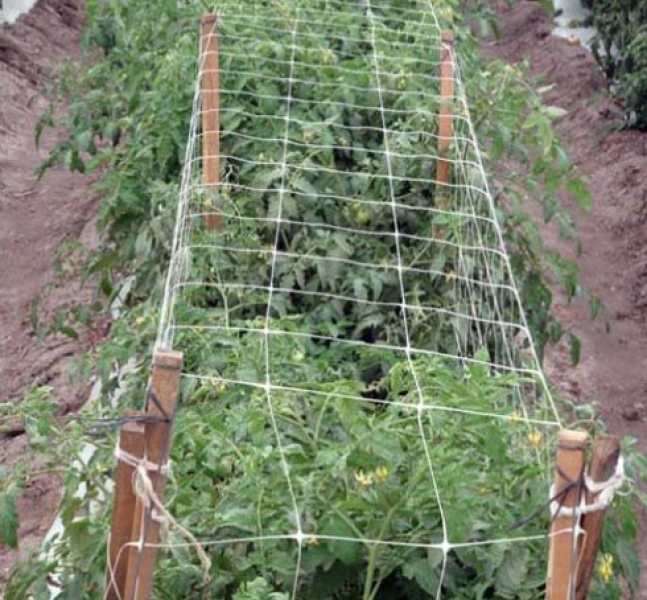 Grower's Edge Commercial Grade Trellis Netting 4 ft (by foot)