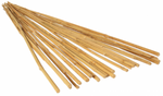 GROW!T 6' Bamboo Stakes, Natural