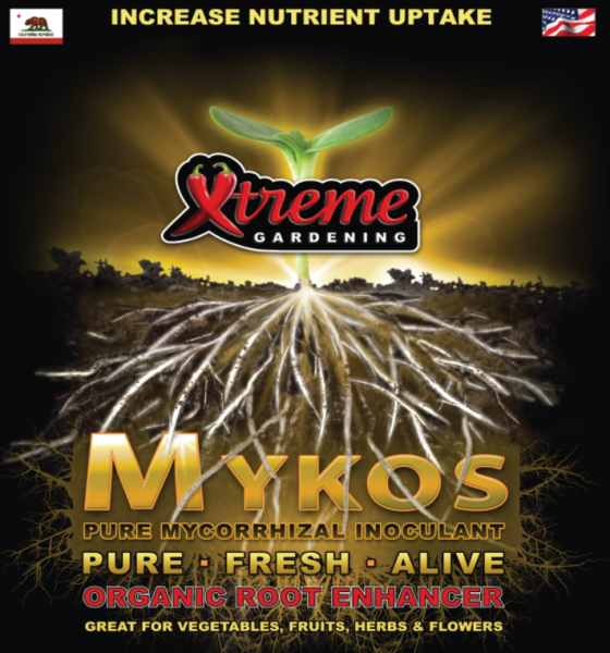 Xtreme Gardening MYKOS pure mycorrhizal inoculum, 3.5 oz (100 gm)