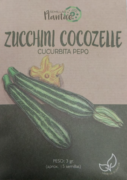 Semillas Zucchini Cocozelle - Pachamama Indoor Farming Culture