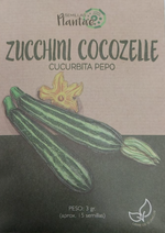 Semillas Zucchini Cocozelle - Pachamama Indoor Farming Culture