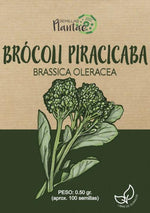 Semillas Brócoli Piracicaba - Pachamama Indoor Farming Culture