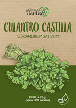 Semillas Culantro Castilla - Pachamama Indoor Farming Culture