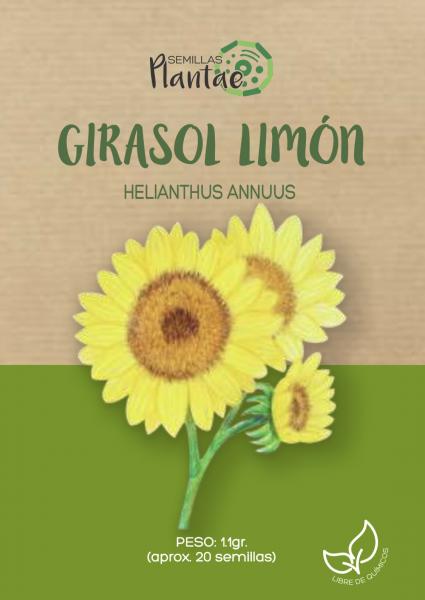 Semillas Girasol Limon - Pachamama Indoor Farming Culture