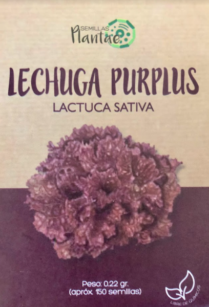 Semillas Lechuga Purplus