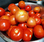 Semillas Tomate Valle del Sebaco - Pachamama Indoor Farming Culture