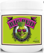 AN Big Bud Powder, 500 gm - Pachamama Indoor Farming Culture
